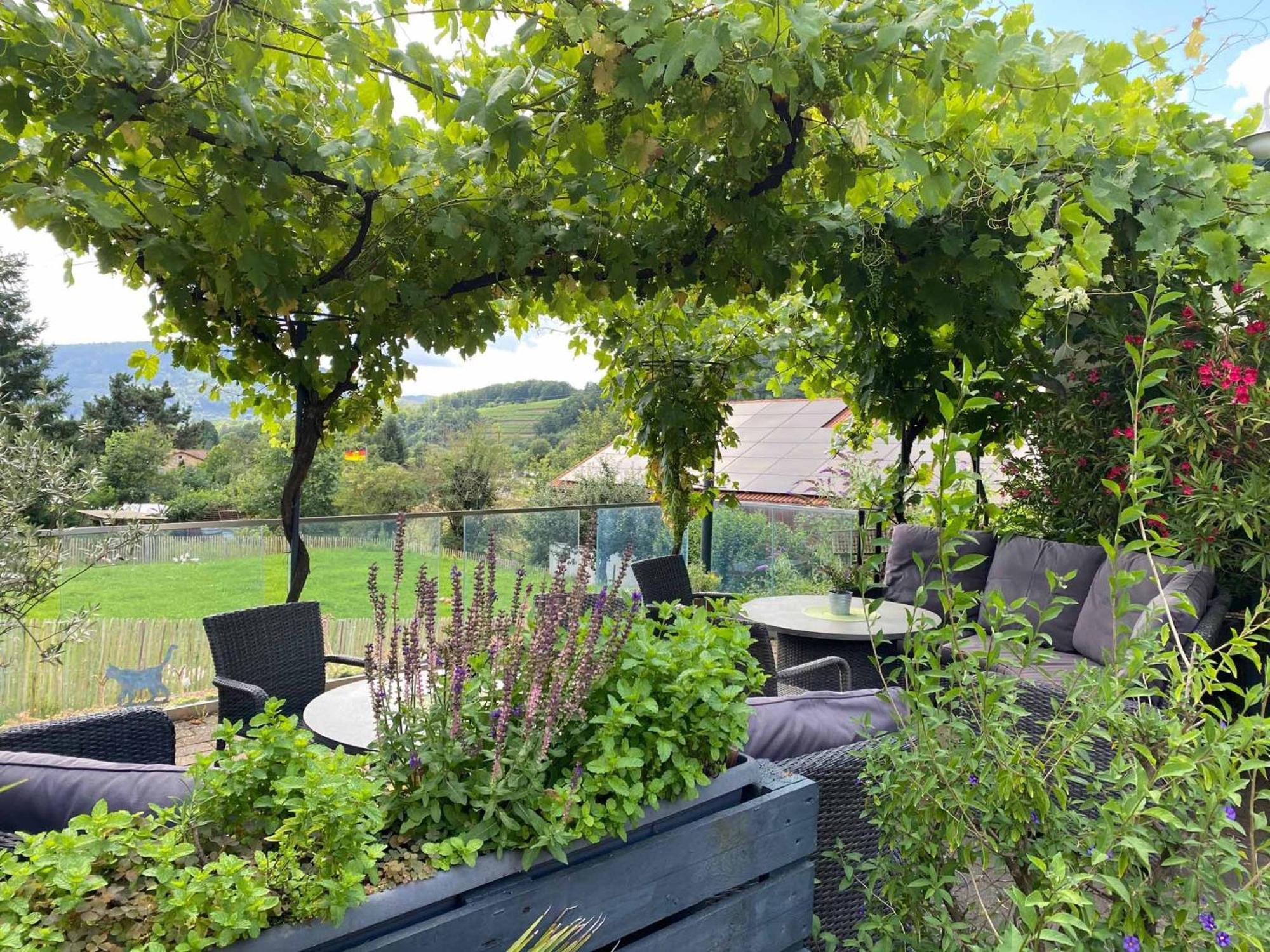 Ferienwohnung Weingut Sturm Buergstadt Bagian luar foto